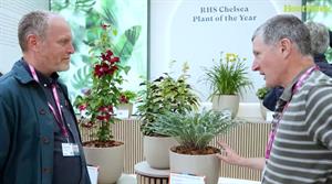 Graham Spencer and Matthew Appleby discuss Hosta ‘Silly String’